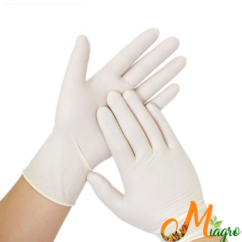 Gants d'examen médical et alimentaires en latex – boite de 100 gants. –  Miagro Suarl (Miagro)